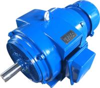 Электродвигатель 5АНК 250М8
