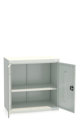 Шкаф архивный ШХА/2-900(50)